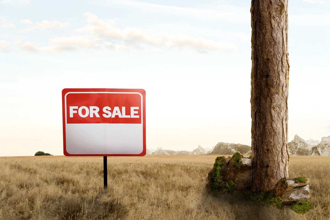 Buy more than 1 Plot of Land in 2024 1 | Image by Freepik